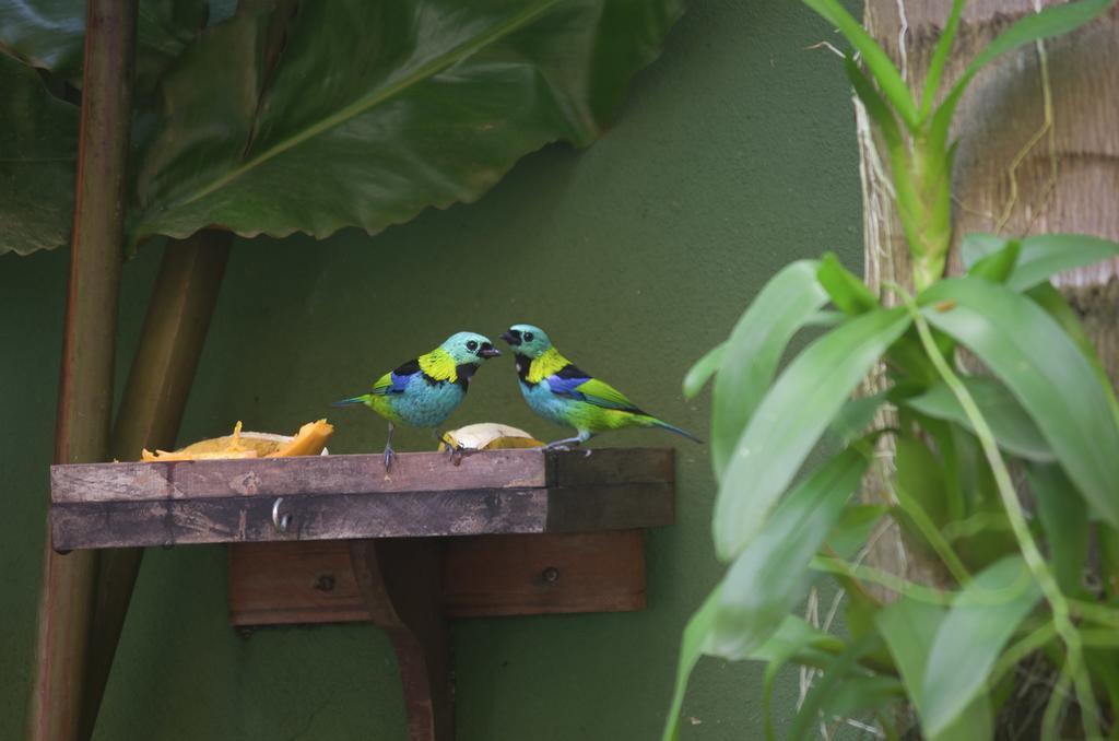 Pousada Refugio Tropical Paraty Exteriér fotografie